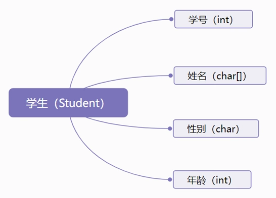 C 结构体