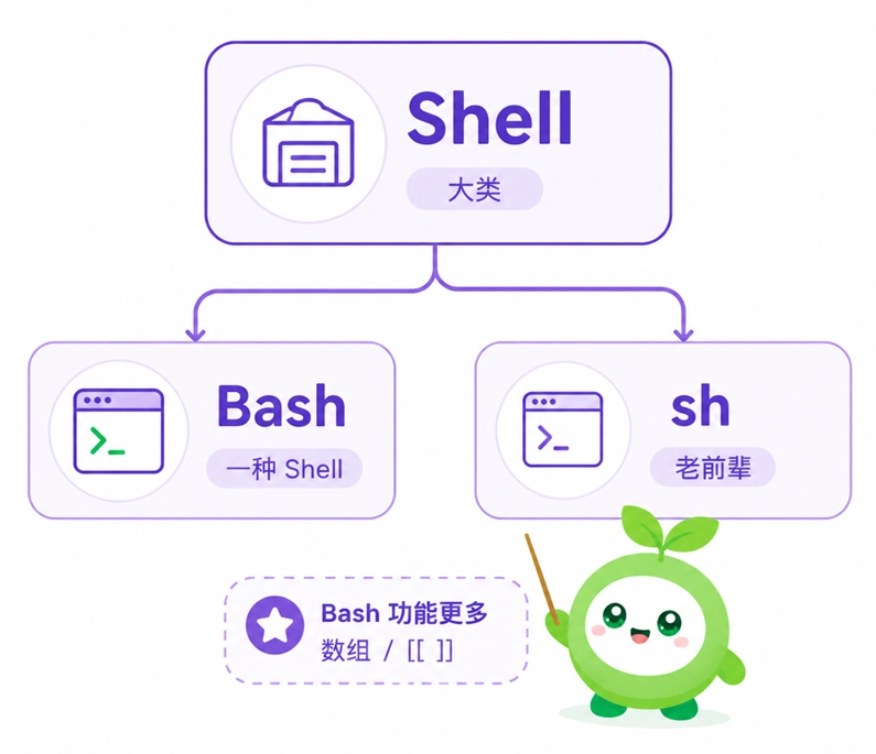Shell、Bash 与 sh 的概念层级与区别对比，说明 Shell 是大类，而 Bash 是基于老前辈 sh 并增加了诸多高级功能的具体实现。