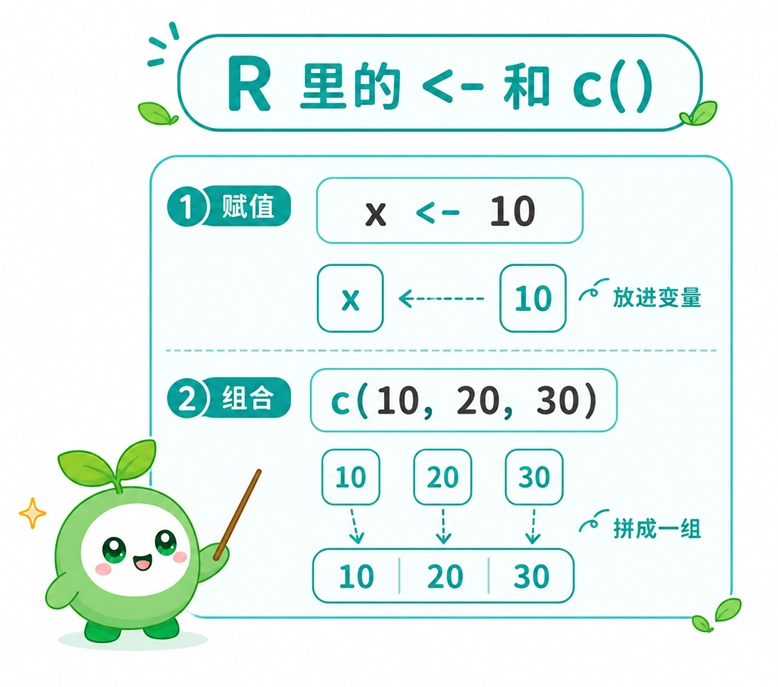 R语言基础语法中赋值符号与c()组合函数的用法图解