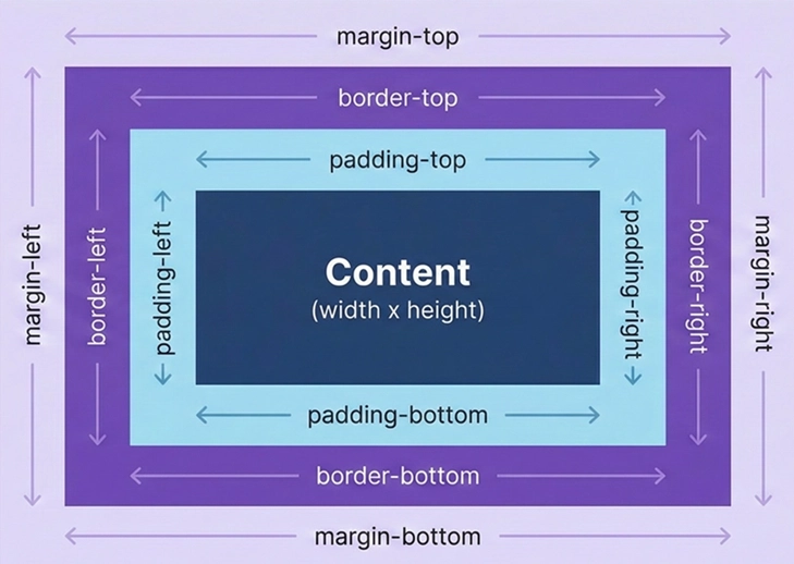 CSS 盒子模型