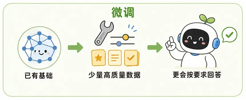 模型微调的本质:像给大学毕业生,做针对性的岗位专业培训