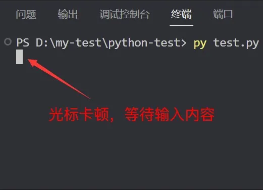 input() 示例