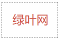 Tailwind CSS 鼠标悬停变色（2）